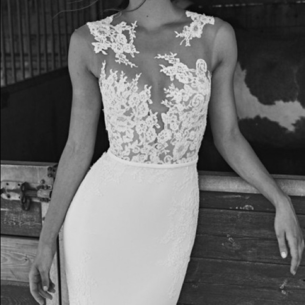 Pronovias Vicenta Wedding Gown - Picture 1 of 8